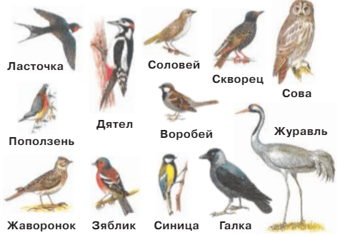 Задание рисунок 1